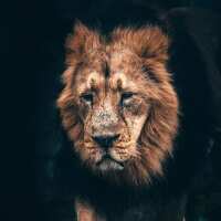 Lesen LED Bilder Bewertungen